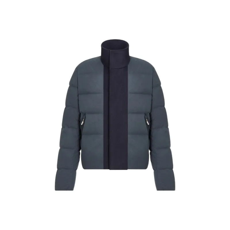 DIOR Down Jackets Women's Blue-0