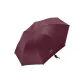 Maroon (Manual)
