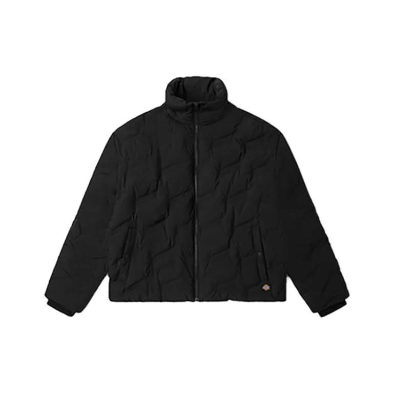 Dickies Down Jacket Women's Black-0