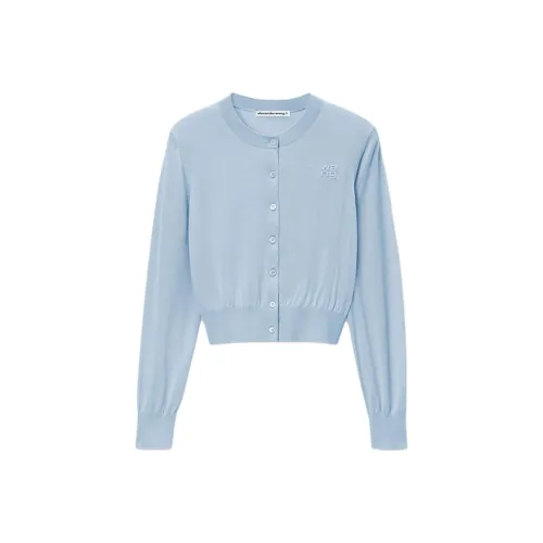 Alexander Wang Knitwear Women's Sky Blue