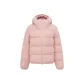Pink |1711