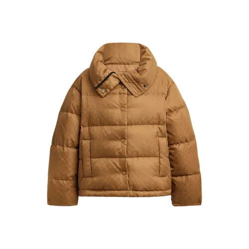 COACH FW24 Down Jacket Women's Brown