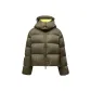 D11 Desert Sunshine Yellow