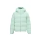 Cyan Green |4740