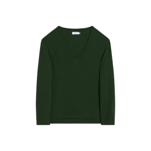 SCANLAN THEODORE Cashmere V-Neck Sweater Cashmere Sweater Women's Cypress/Thuja Wood Color