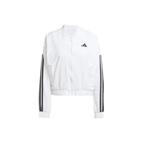 Adidas Free Shipping With AdiClub Essentials 3 Stripes Lifestyle Woven Bomber Jacket