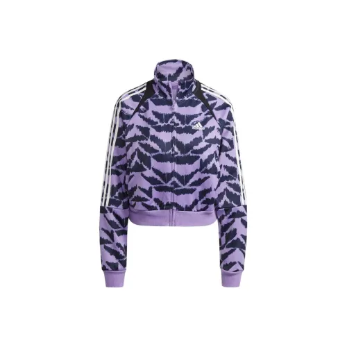 Adidas Free Smith With AdiClub Tiro Suit Up Lifestyle Track Jacket