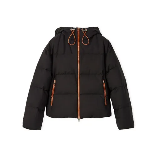 LOEWE Down Jackets Women's Black