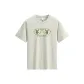 Gull Gray