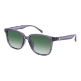 Purple Gray C19