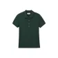 YZP/Dark Pine Green