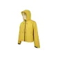 Ginger Yellow