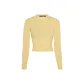 Light Yellow/Light Yellow
