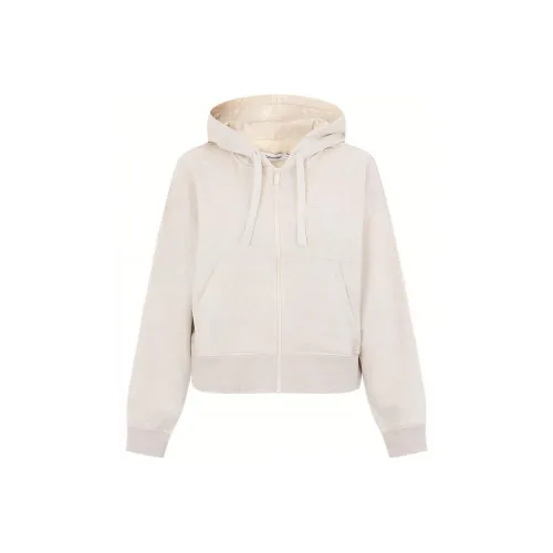 CALVIN KLEIN Sweatshirt Women's Oat Yellow