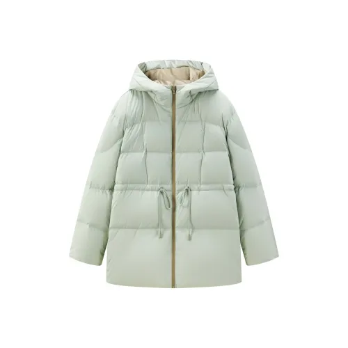 LEDIN Down Jacket Women's Mist Green