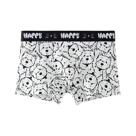 ROBINHOOD Underpants Men's Combo Set-4