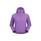 Bellflower Purple