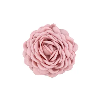 WIR ORNAMENTS Acrylic Creative Fashion Hair Clip Women's