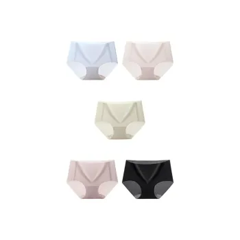 Inside The Orange Underpants Women's 5 Pack