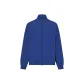 COBALT/Cobalt Blue