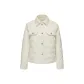 White Birch 8119