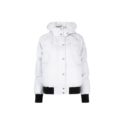 Moose Knuckles Down Jacket Women's Gray