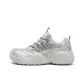 Silver Gray