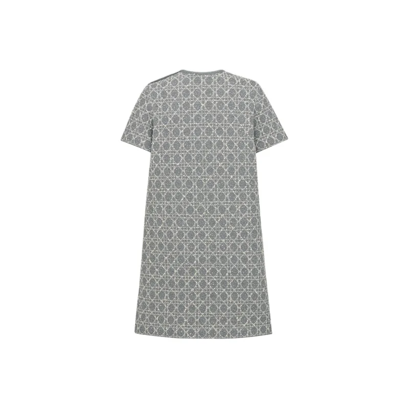 DIOR FW25 Short Sleeved Dress Women's Gray-1