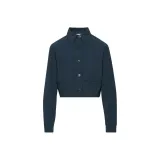 Prussian Blue/Admiral