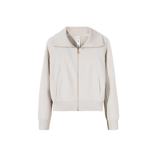 Anta Comprehensive Training Collection Sports Lifestyle Collection Knitwear Women's Triumphant Gray