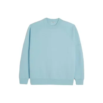 Hollister Sweatshirt Women's Light Blue