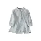 Gray Blue