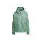 Silver Green