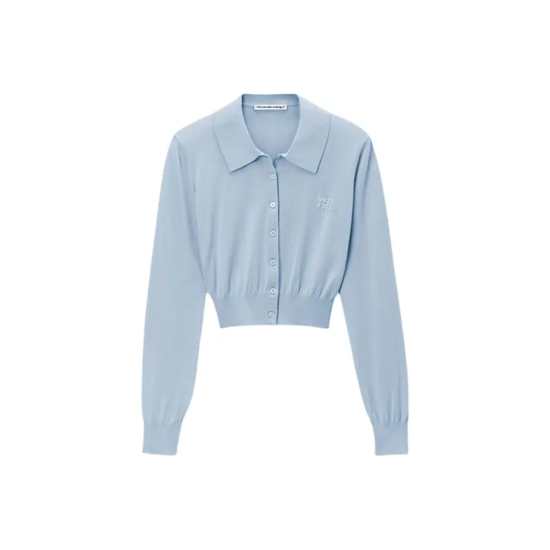 Alexander Wang FW24 Knitwear Women's Sky Blue-0