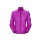 Purple/Groovie