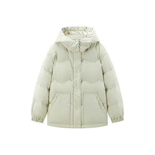 LEDIN Down Jacket Women's Light Frost Green
