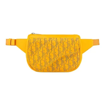DIOR Saddle Fanny Packs