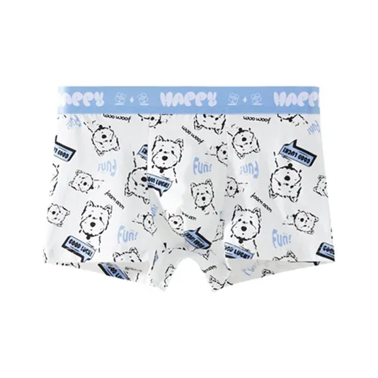 ROBINHOOD Underpants Men's Combo Set-12