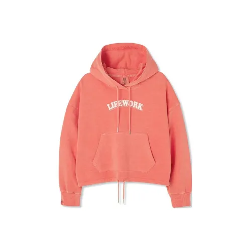 Lifework SS24 Sweatshirt Women's