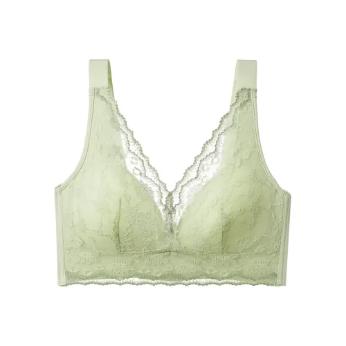 Herbal Primer Bra Women's Combo Set