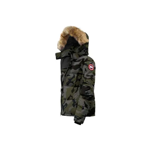 Canada Goose Down Jacket Women's Coast Gray