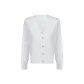 Camellia White