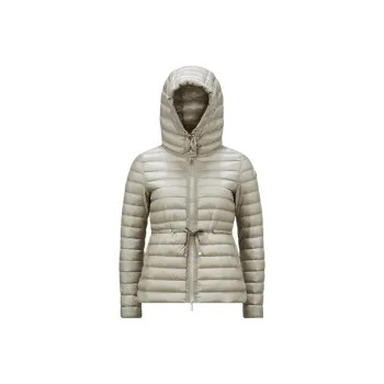 Moncler Raie Series FW24 Down Jacket Women's Light Gray