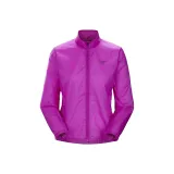 Purple/GROOVIE