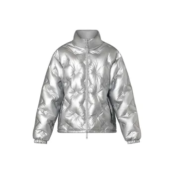 LOUIS VUITTON Down Jacket Women's Silver