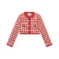 Red Pink Plaid