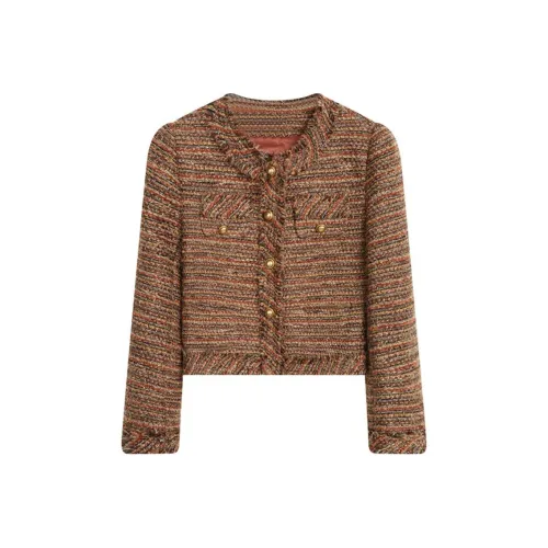PKHP Jackets Coats Women's Umber