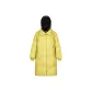 Acid Yellow