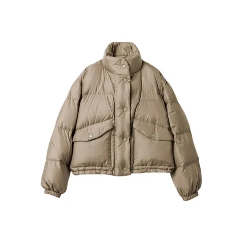 MIU MIU Down Jacket Women's Mud Gray