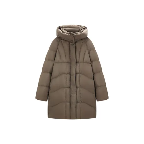 LEDIN Down Jackets LR-03-Logo Women's